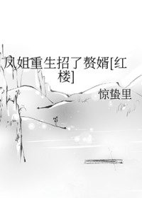 [红楼梦同人] 凤姐重生招了赘婿