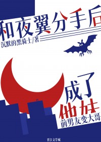 [综英美同人] 和夜翼分手后成了他妹
