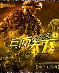 兵疯天下