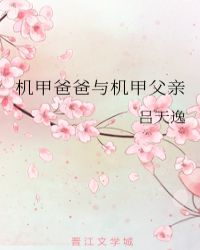 机甲爸爸与机甲父亲